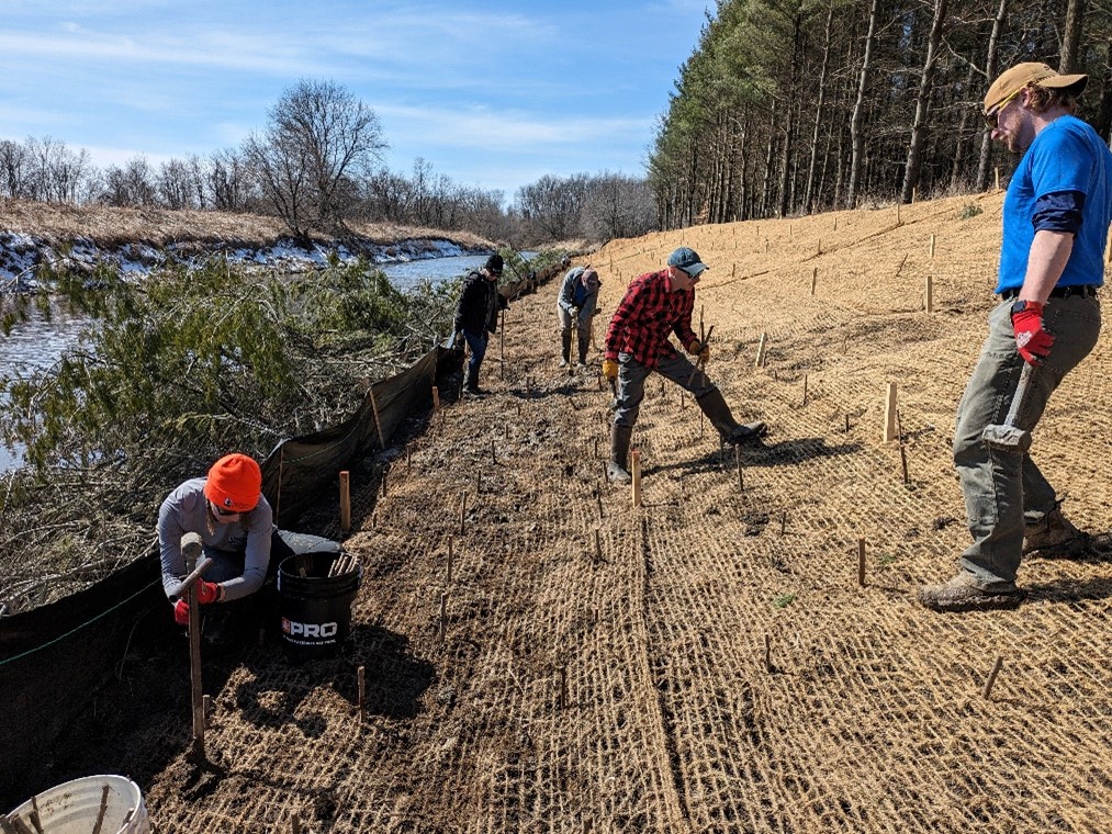 SNC Staff installing willow live stakes