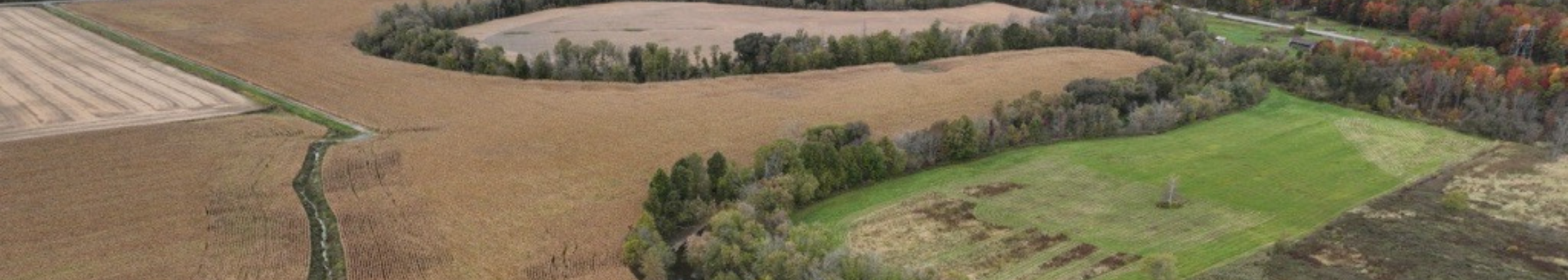 birds eye view banner