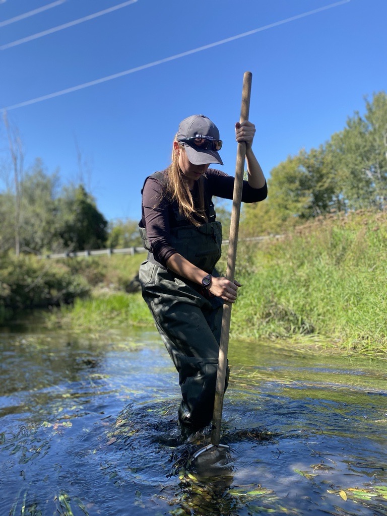 Une employ&eacute;e portant des cuissardes et une casquette de la Conservation de la Nation Sud se tient dans un ruisseau clair et peu profond. Elle tient un filet &agrave; long manche en bois et l'appuie sur le lit du ruisseau pour recueillir des &eacute;chantillons biologiques aquatiques. Les environs sont verdoyants sous un ciel bleu &eacute;clatant.