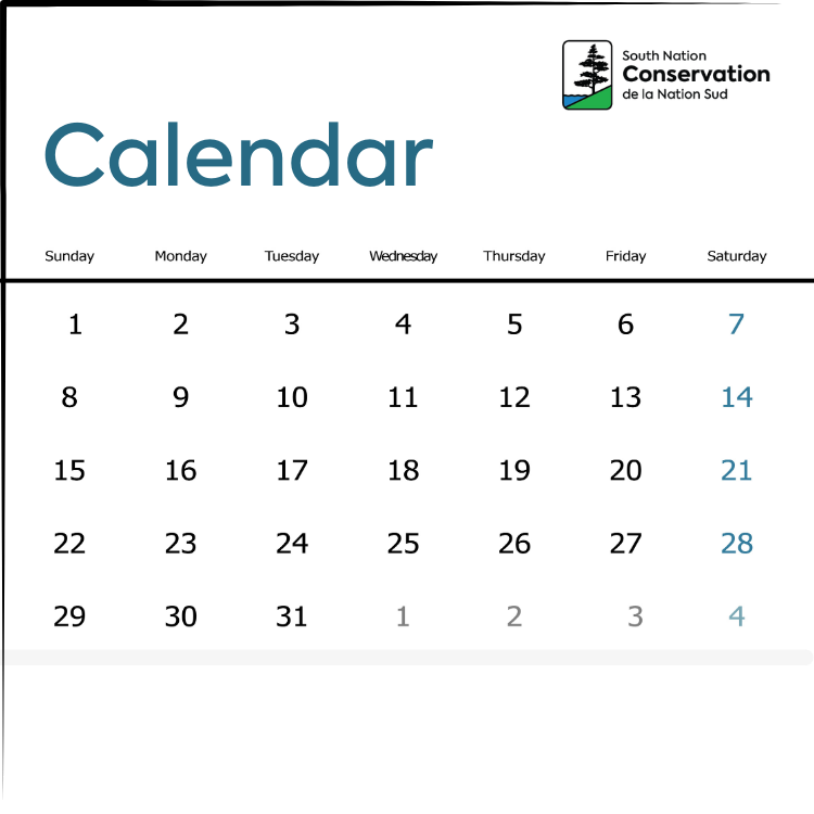 Calendar icon