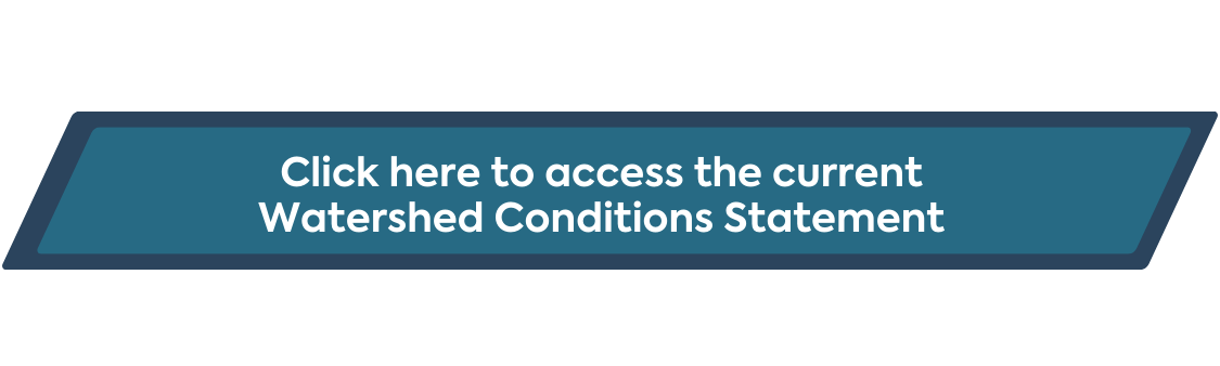 View watershed conditions update &mdash; flood watch (opens in new tab)