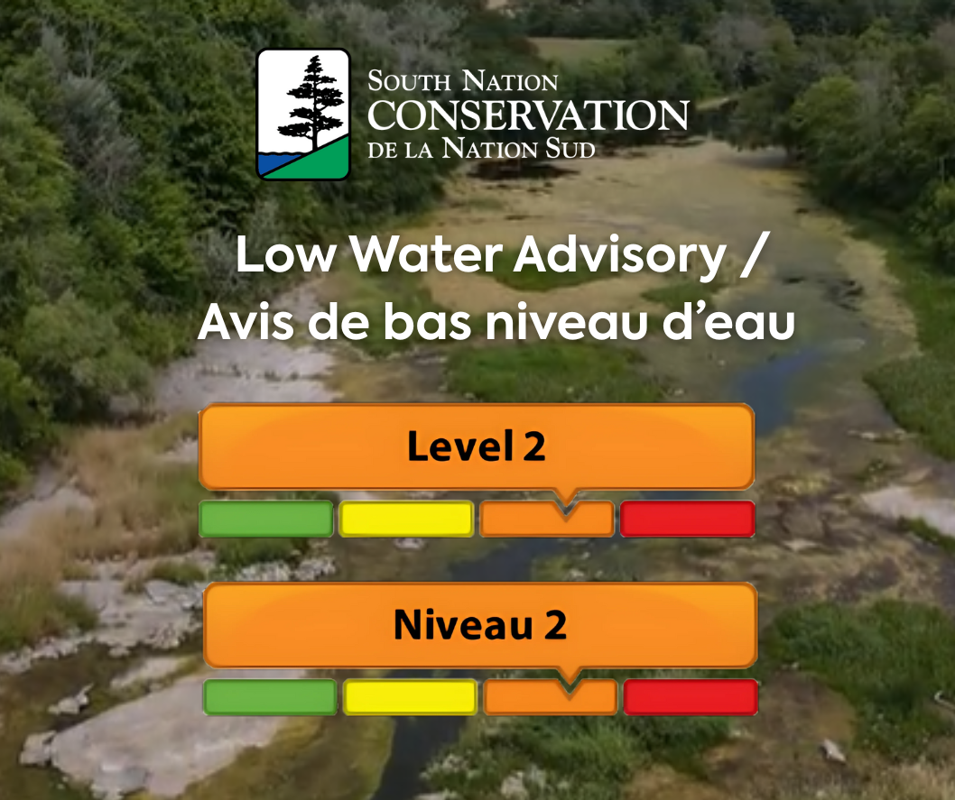 low level 3