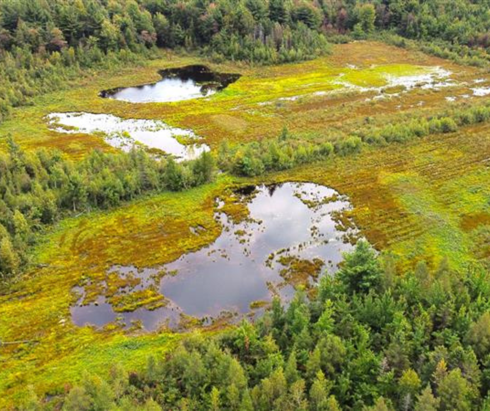 drone footage of SNC 049 Wetland Restoration project
