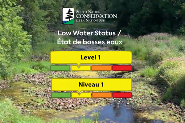low water