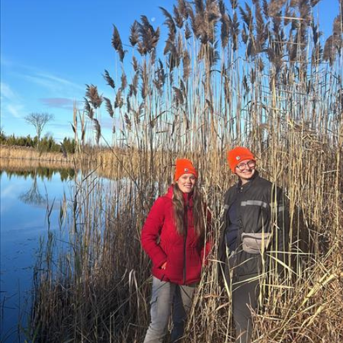 SNC staff standing with phragmites